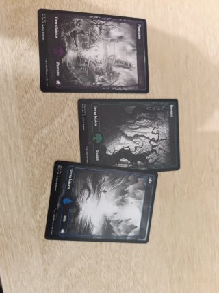 Cartas Magic: Tierra Básica Llanura Isola Pantano