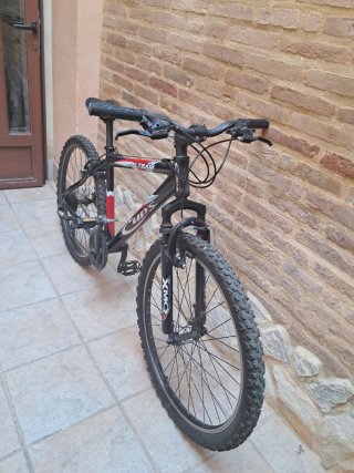 Bicicleta de Montaña