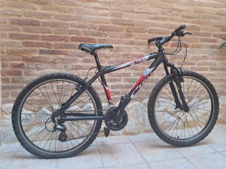 Bicicleta de Montaña