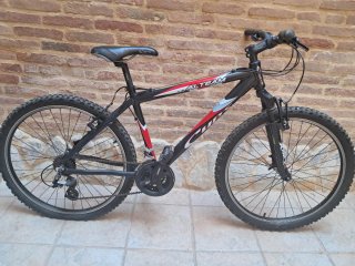 Bicicleta de Montaña