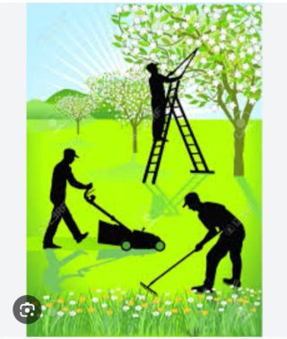 Jardinero y limpieza
