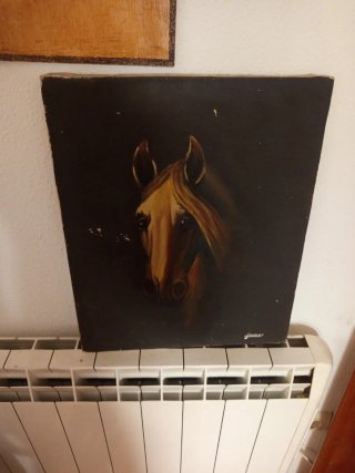Cuadro de caballo
