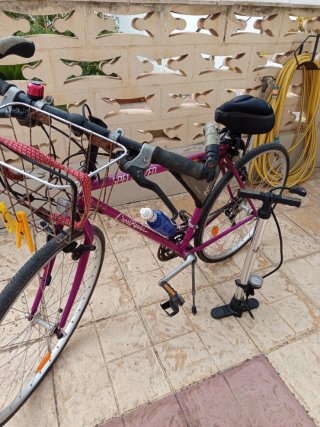 Bicicleta Specialized Cross Roads Morada