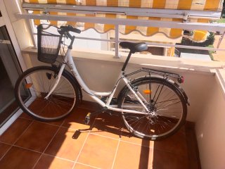 Bicicleta Paseo Street City 40 Adulto