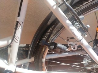 Bicicleta Paseo Street City 40 Adulto