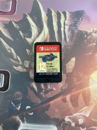 Monster Hunter Rise Nintendo Switch