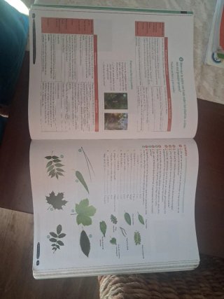 Biología y Geología 1º ESO. Libro del estudiant...