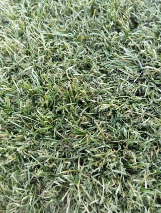 Césped artificial verde