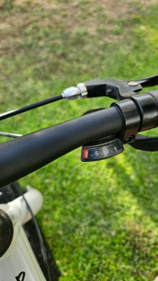 Bicicleta Giant STP 20 pulgadas