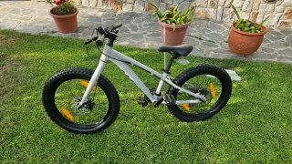 Bicicleta Giant STP 20 pulgadas