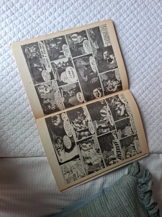Fanzine Asterix y las Nucleares