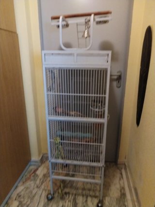 Jaula Loro Hierro Garbanizado150x45x45