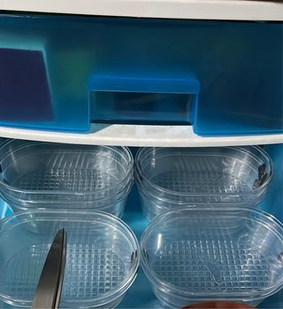 Bañeras pequeñas para jaulas