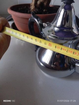 Caffettiera/Teiera in metallo