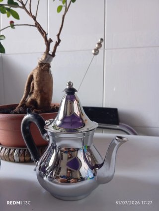 Caffettiera/Teiera Grande in Metallo