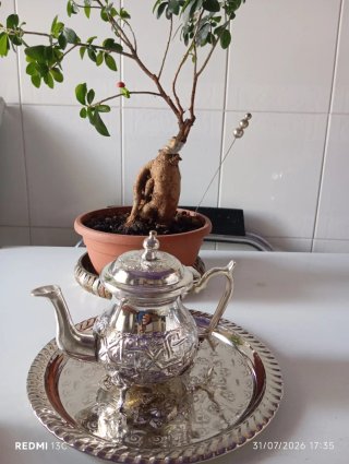 Caffettiera/Teiera in metallo argentato