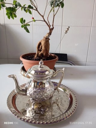 Caffettiera/Teiera in metallo argentato