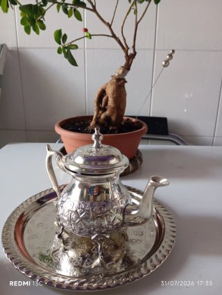 Caffettiera/Teiera in metallo argentato