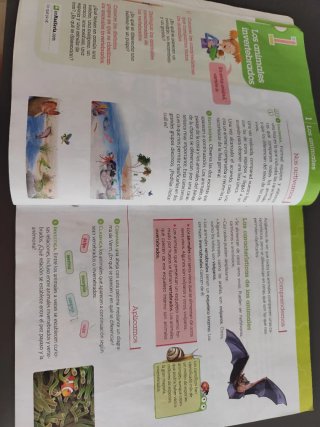 Ciencias de la naturaleza, 4 Primaria, Comunida...