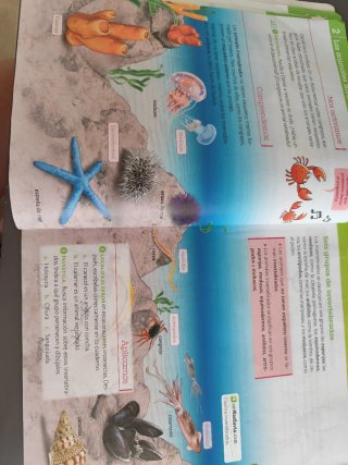 Ciencias de la naturaleza, 4 Primaria, Comunida...