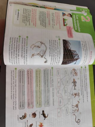 Ciencias de la naturaleza, 4 Primaria, Comunida...