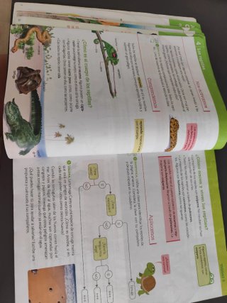 Ciencias de la naturaleza, 4 Primaria, Comunida...