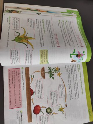 Ciencias de la naturaleza, 4 Primaria, Comunida...