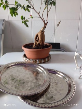 Piatto decorato in argento
