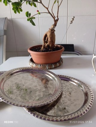 Piatto decorato in argento