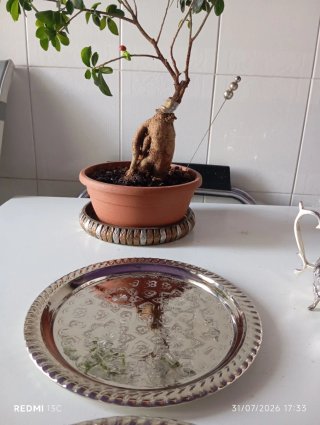 Piatto decorato in argento