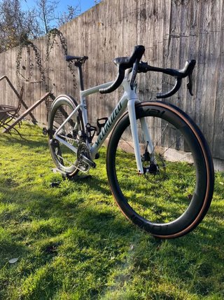 Specialized Tarmac SL7 Pro 2022 (52cm)