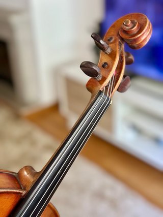 Violino francês 4/4