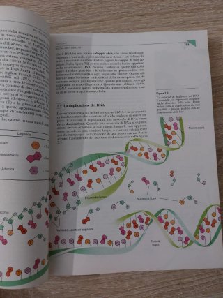 Biologia - la dinamica della vita