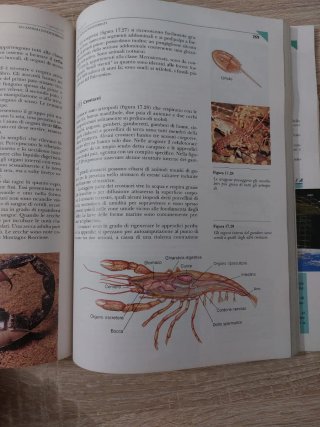Biologia - la dinamica della vita