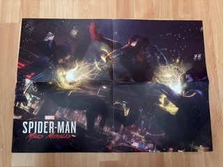 Lote de Posters
