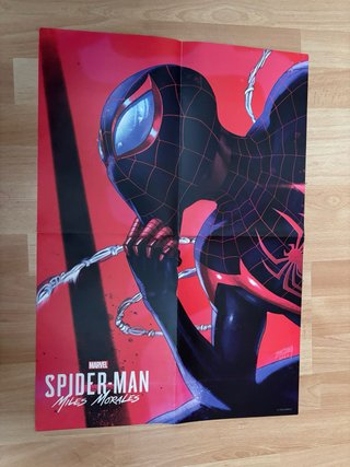 Lote de Posters