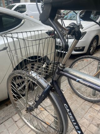 Bicicleta Paseo Gazelle vintage