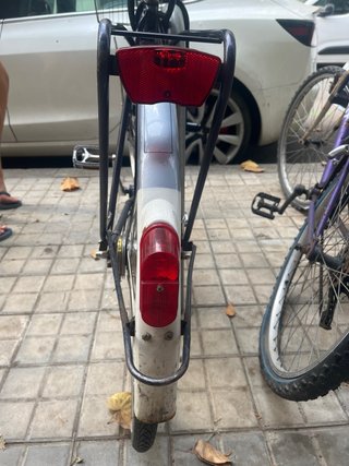 Bicicleta Paseo Gazelle vintage