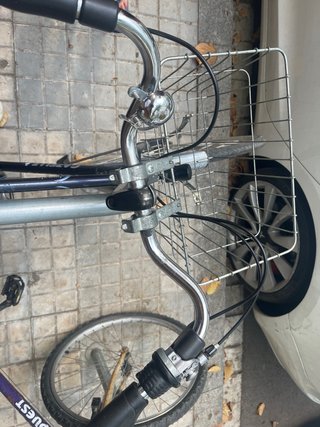 Bicicleta Paseo Gazelle vintage