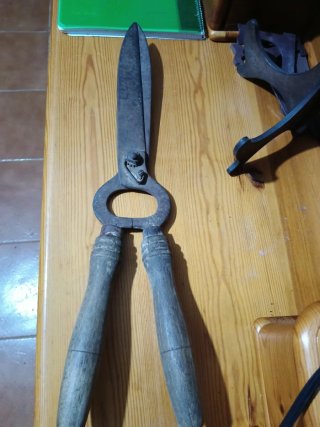 Tijeras de podar antiguas de jardinero