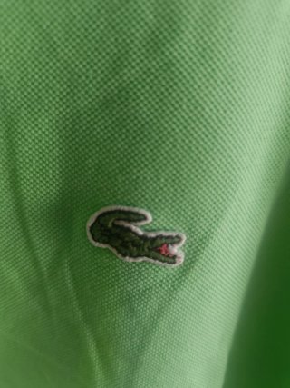 Polo Lacoste Verde Chiaro Taglia 5 (L)