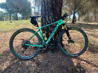 Orbea Alma M15 Carbono