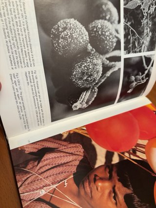 Leica Applied Technique – Günter Osterloh