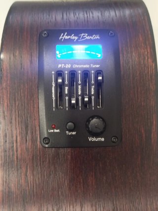 Guitarra Electroacústica Harley Benton por viaje
