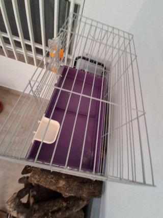 Jaula para conejo morada
