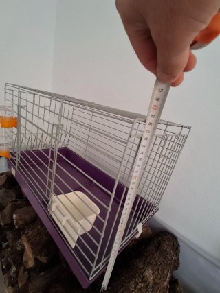 Jaula para conejo morada