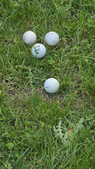Juego Palos Golf Niños Texan Classic  Junior 8-12