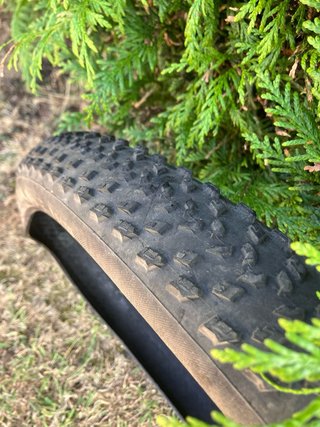 Cubiertas specialized fast track 29x2.20 gridlite