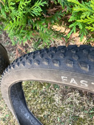 Cubiertas specialized fast track 29x2.20 gridlite