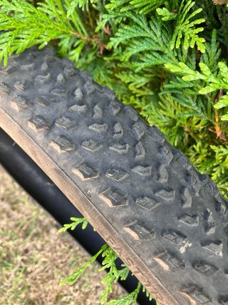 Cubiertas specialized fast track 29x2.20 gridlite